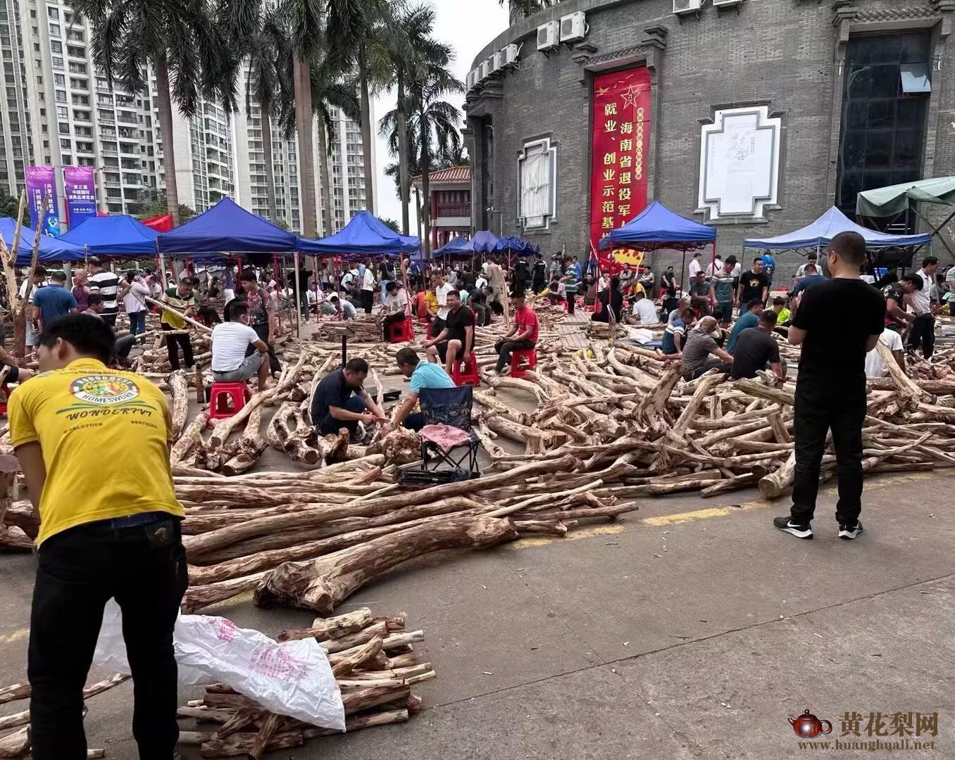 市场上常见的海南黄花梨原木新料